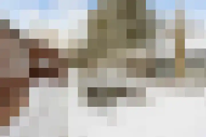 Bosweg 8 Loppersum thumbnail 37