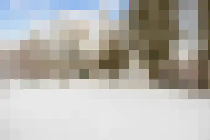 Bosweg 8 Loppersum thumbnail 40
