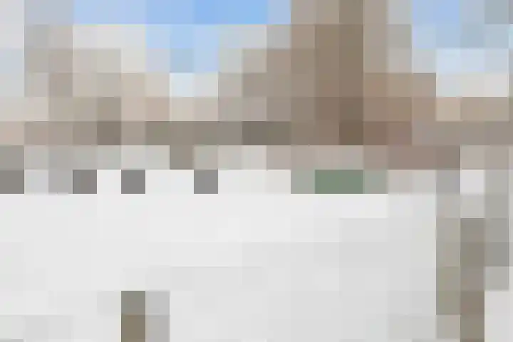 Bosweg 8 Loppersum thumbnail 41