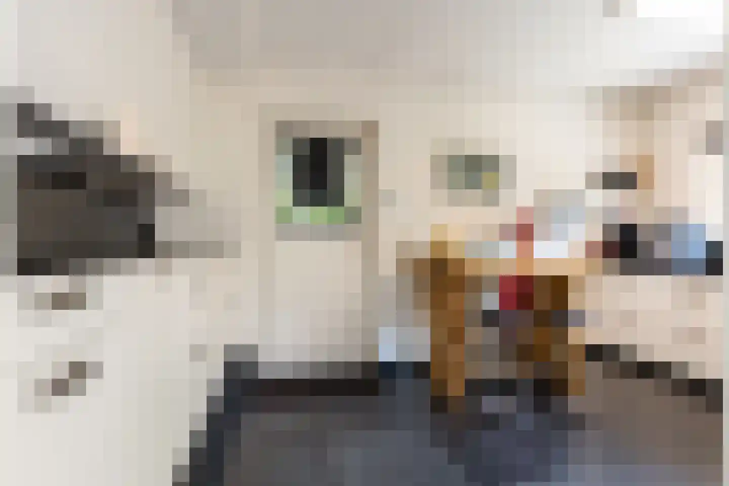 Bosweg 83 Apeldoorn thumbnail 11