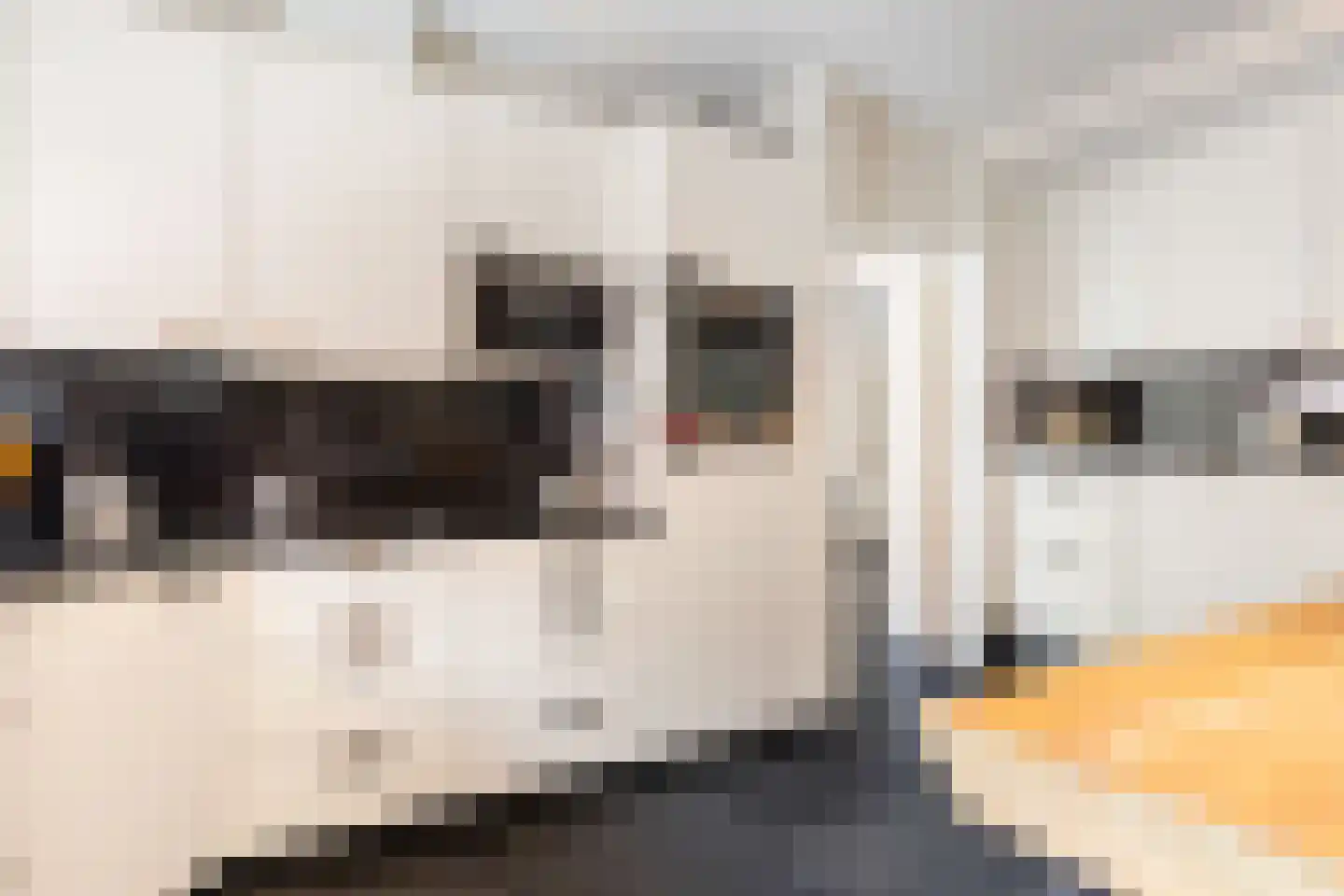 Bosweg 83 Apeldoorn thumbnail 13