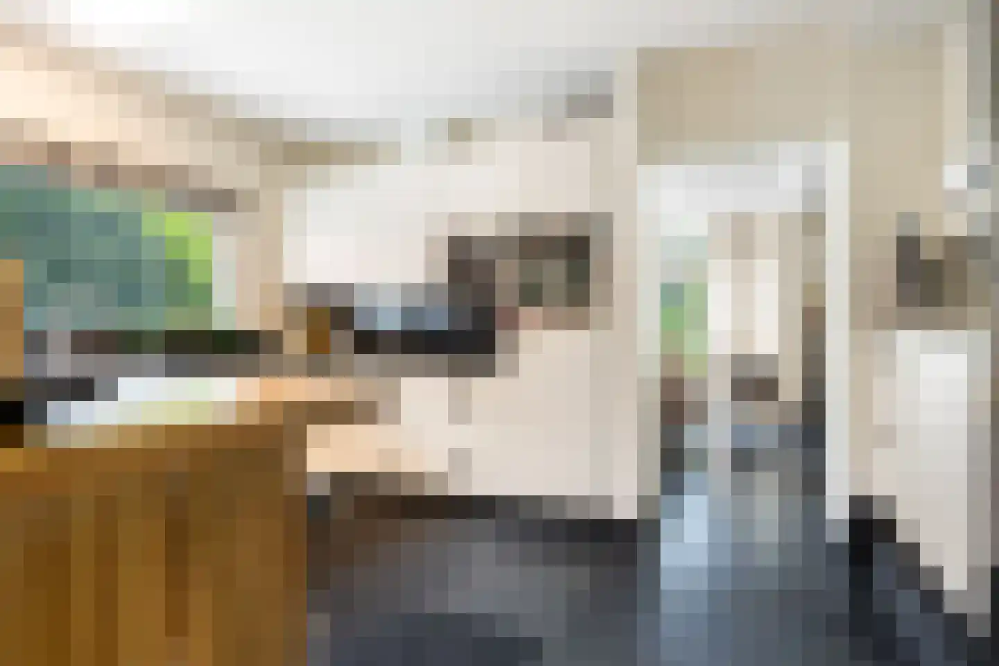 Bosweg 83 Apeldoorn thumbnail 14