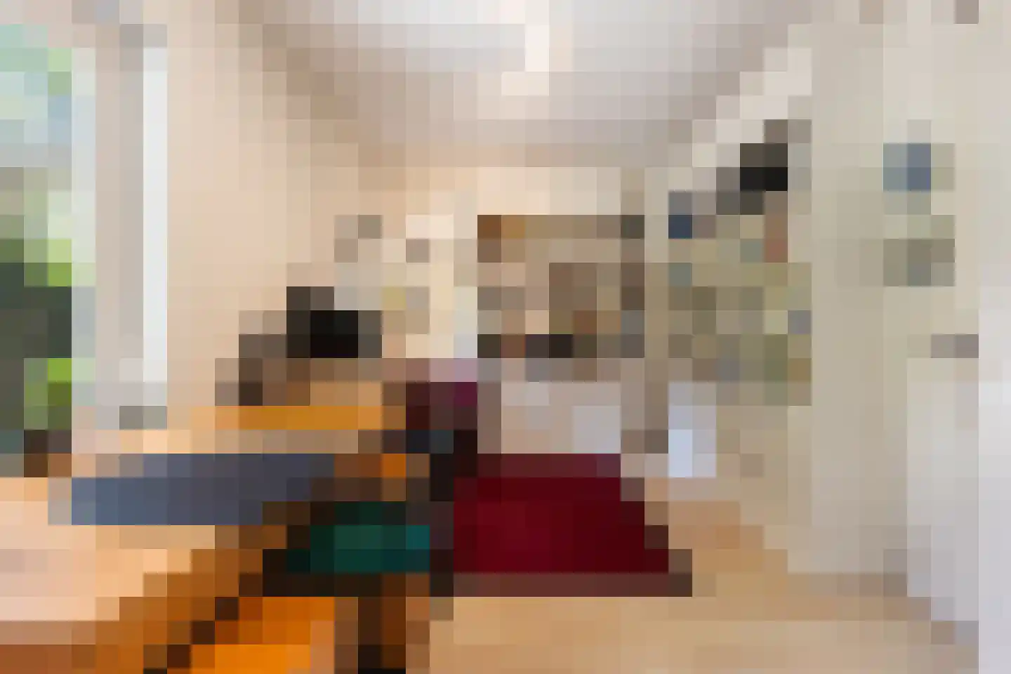 Bosweg 83 Apeldoorn thumbnail 20