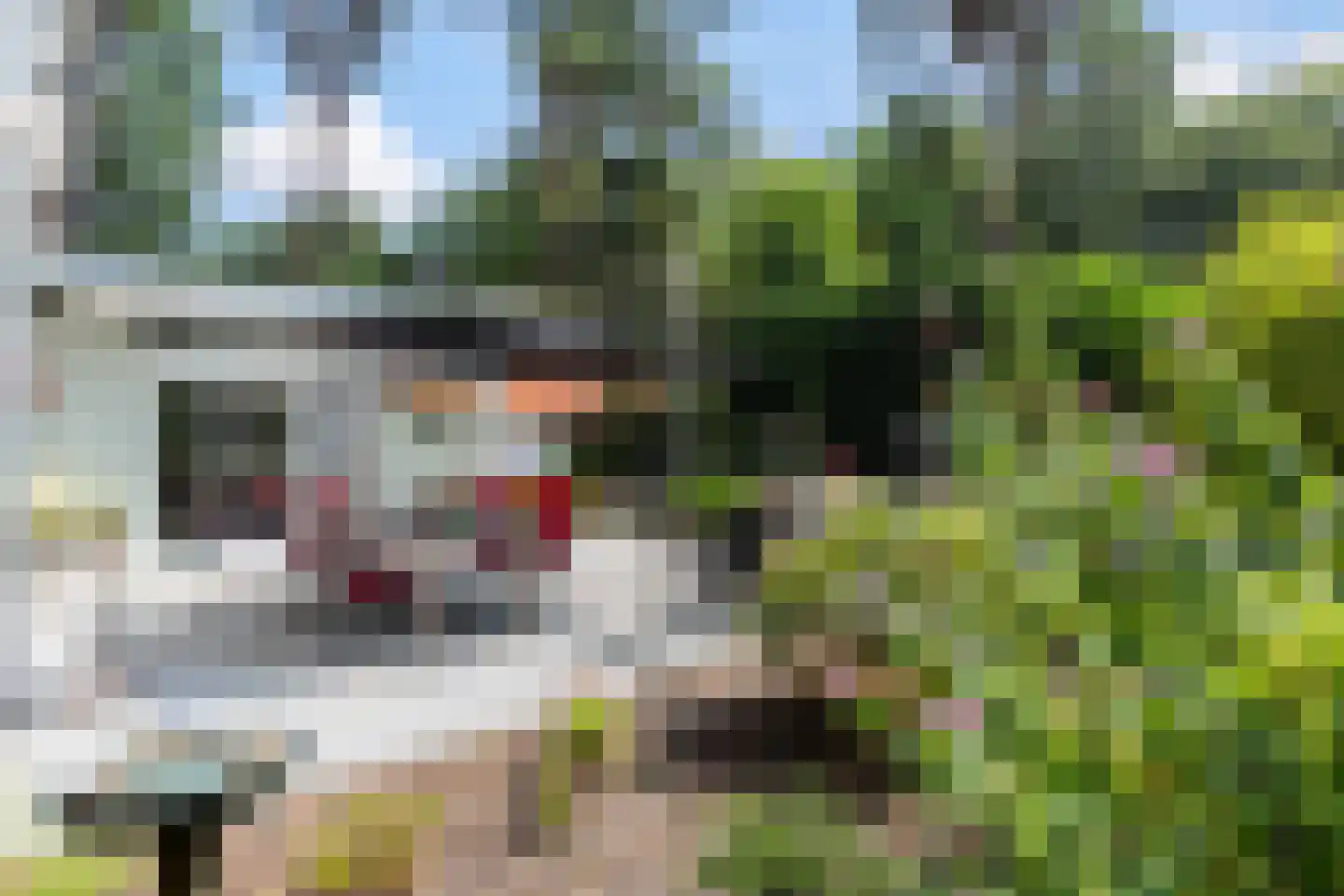 Bosweg 83 Apeldoorn thumbnail 23