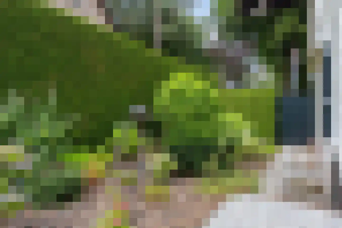 Bosweg 83 Apeldoorn thumbnail 25