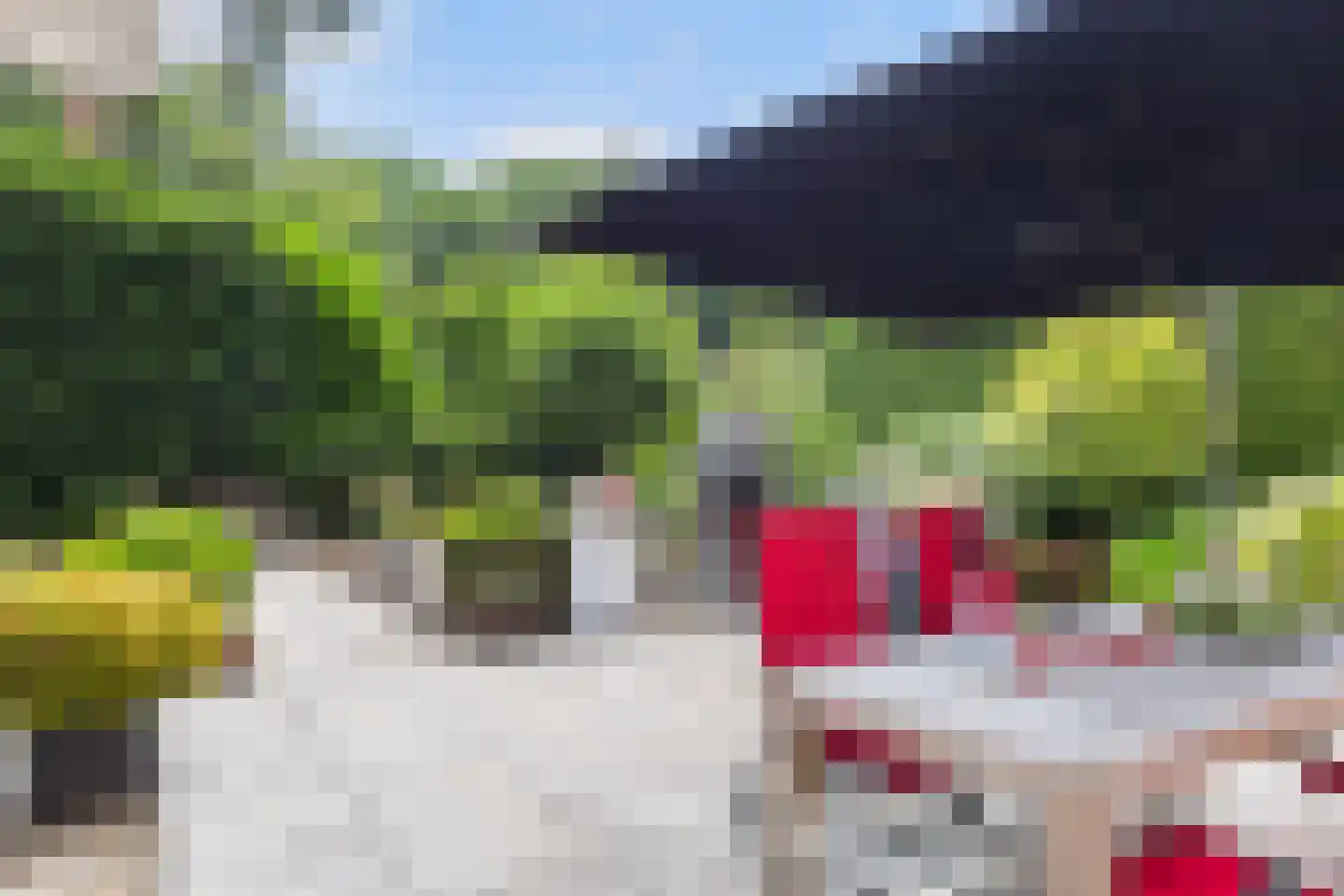 Bosweg 83 Apeldoorn thumbnail 26