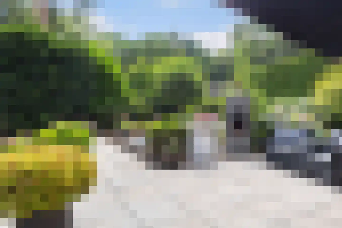 Bosweg 83 Apeldoorn thumbnail 27
