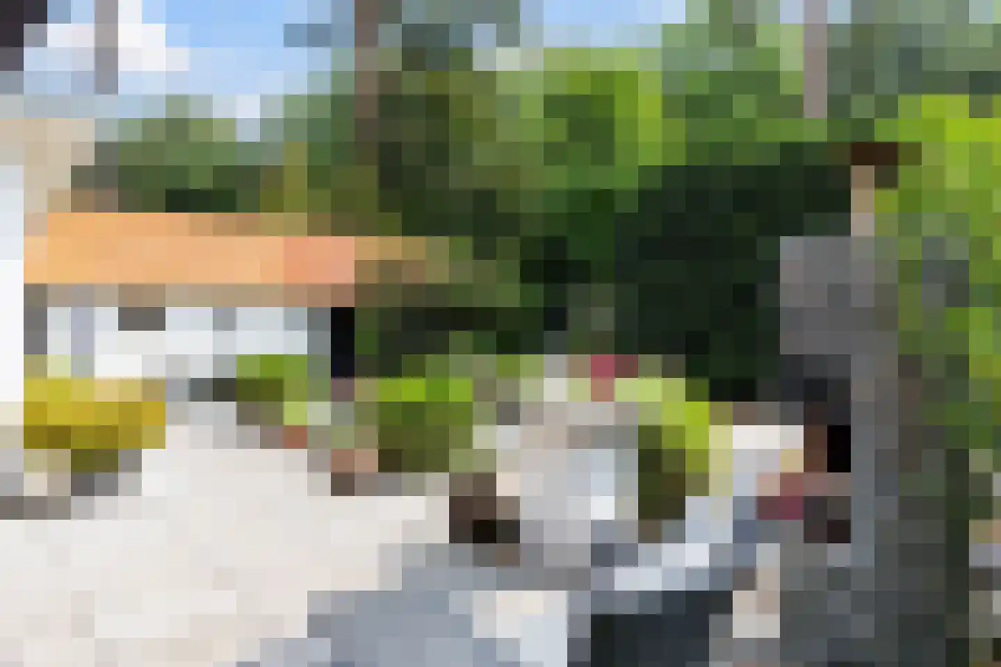 Bosweg 83 Apeldoorn thumbnail 28
