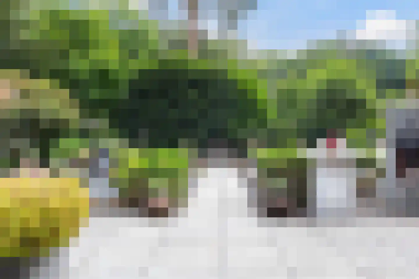 Bosweg 83 Apeldoorn thumbnail 30