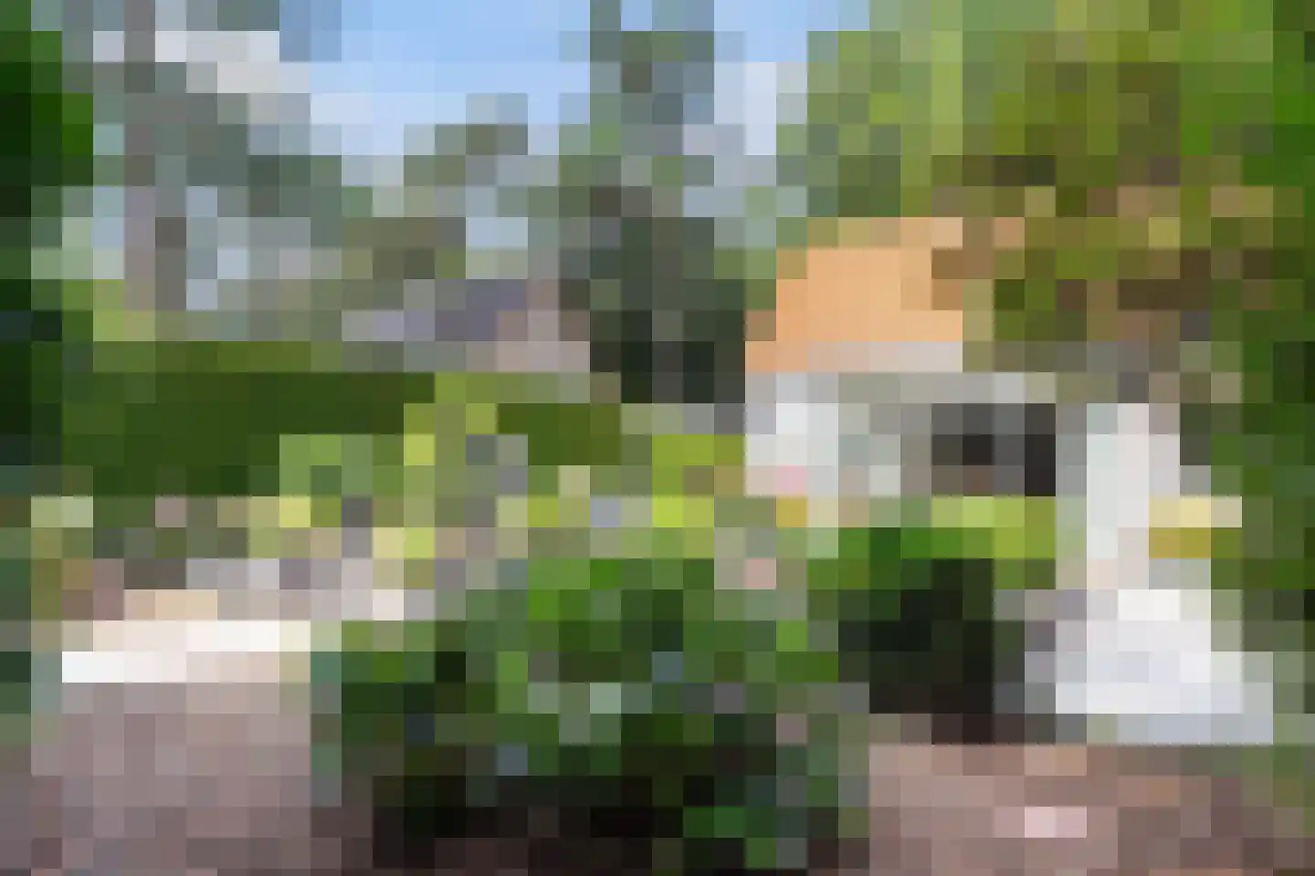 Bosweg 83 Apeldoorn thumbnail 31