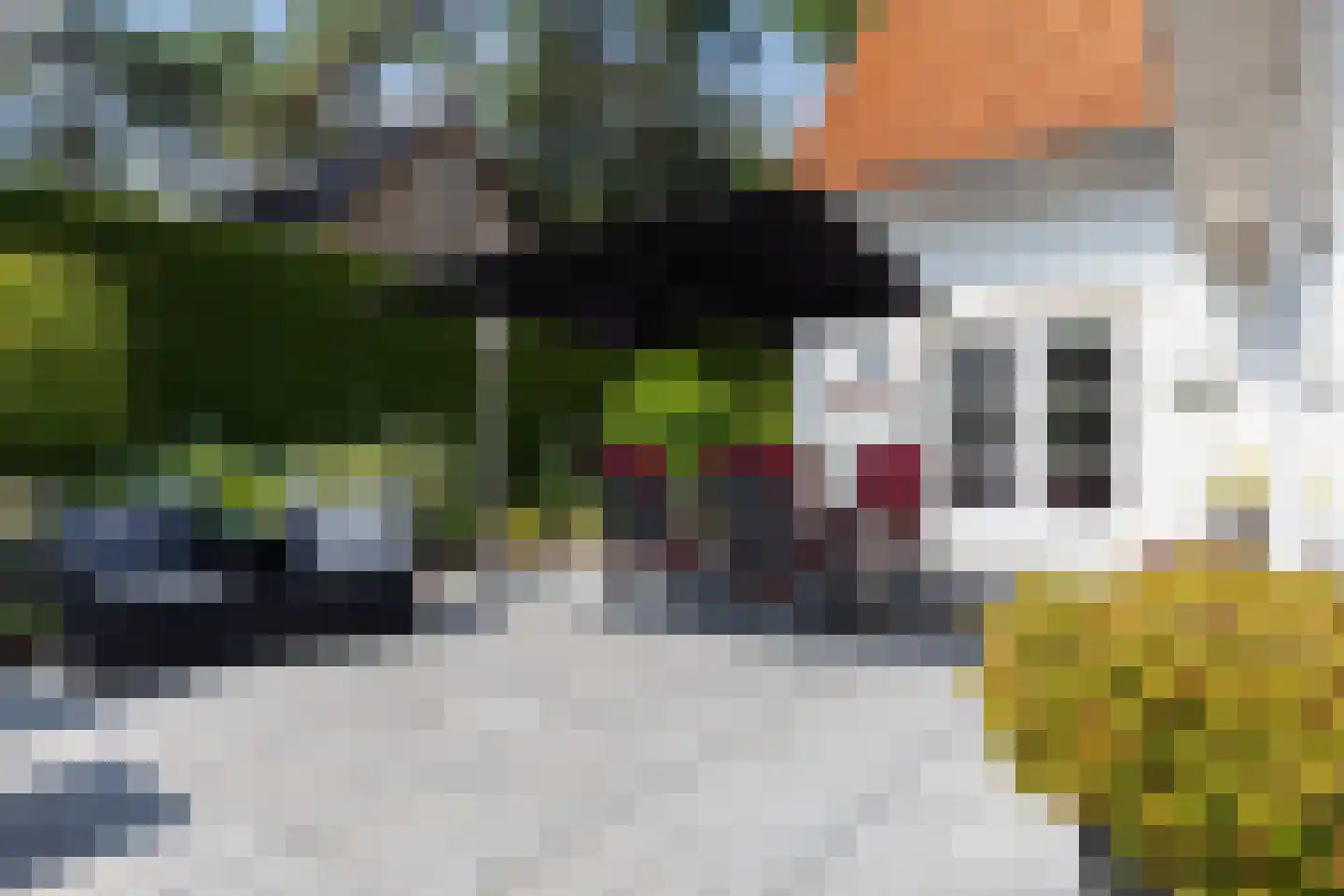 Bosweg 83 Apeldoorn thumbnail 34