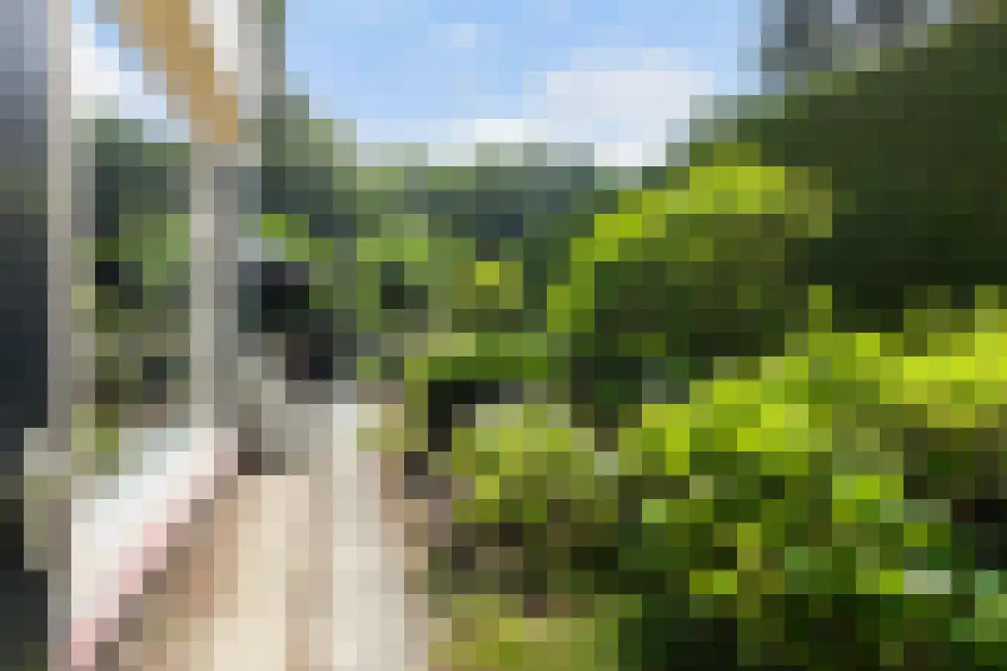 Bosweg 83 Apeldoorn thumbnail 35