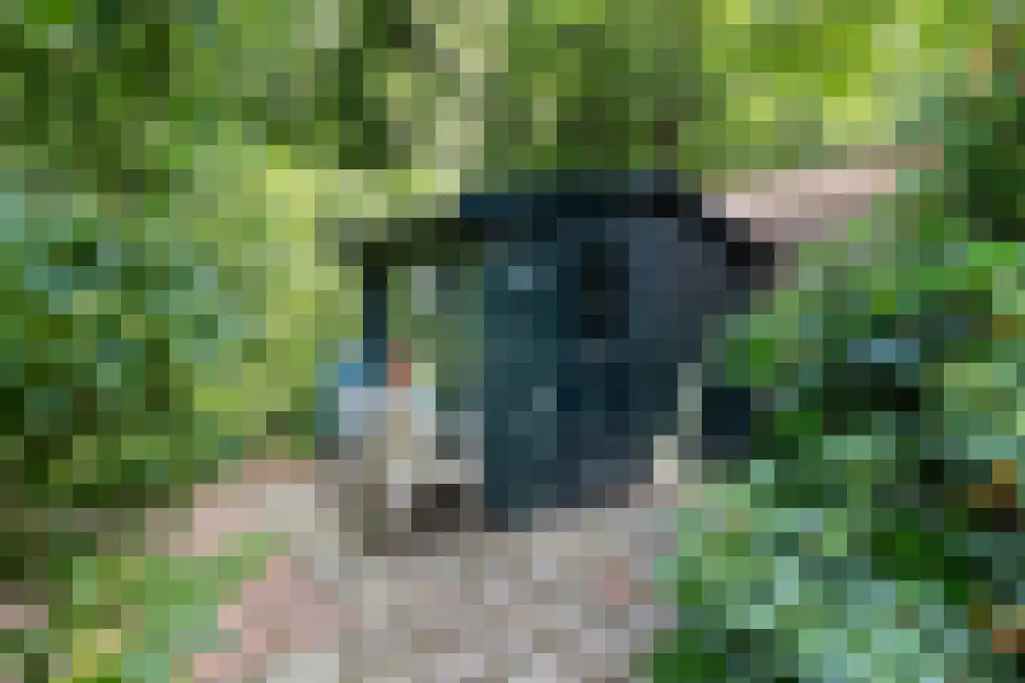 Bosweg 83 Apeldoorn thumbnail 38