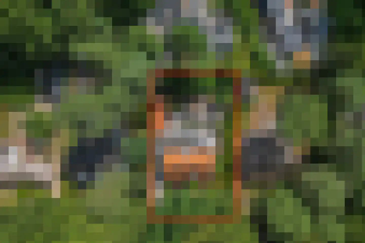 Bosweg 83 Apeldoorn thumbnail 39