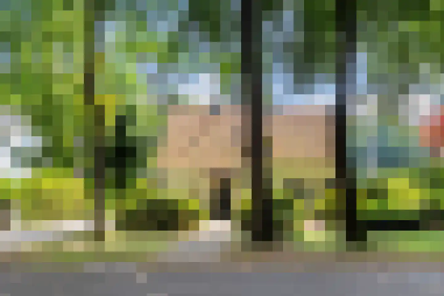 Bosweg 83 Apeldoorn thumbnail 40