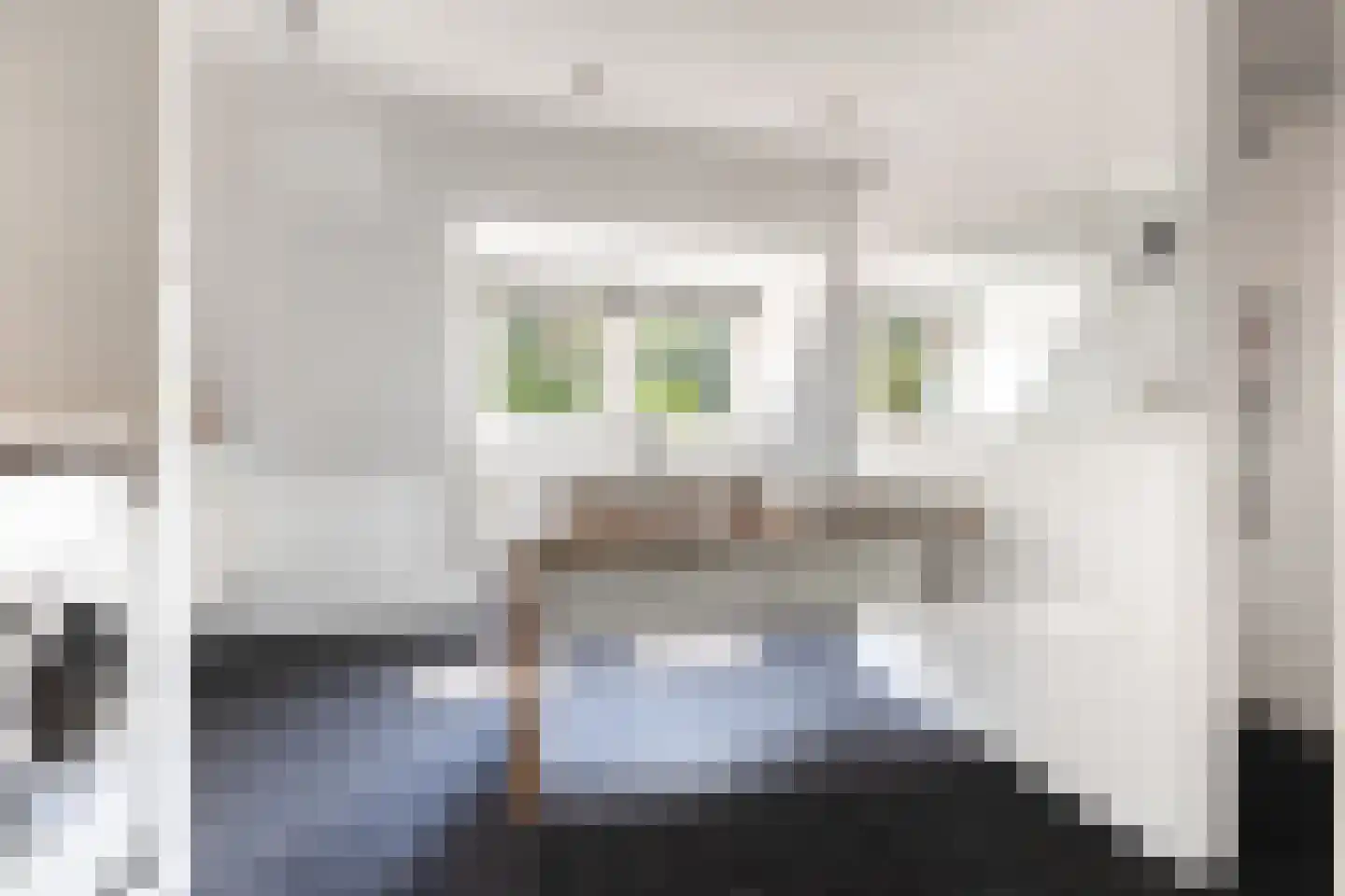 Bosweg 83 Apeldoorn thumbnail 51