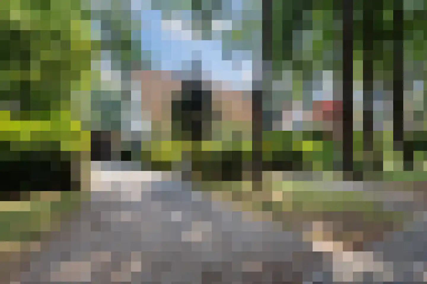 Bosweg 83 Apeldoorn thumbnail 56