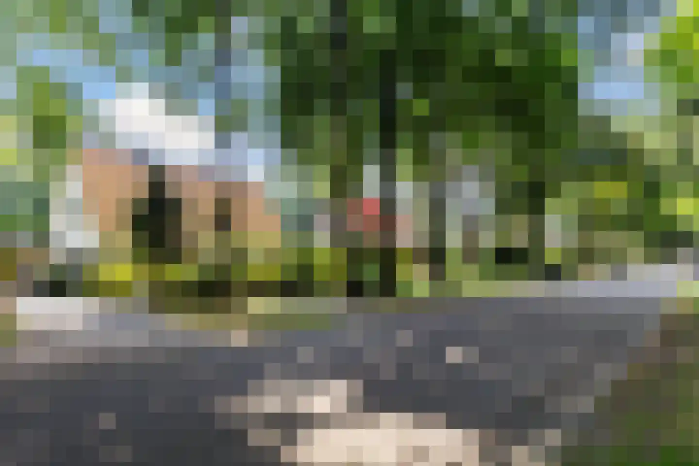 Bosweg 83 Apeldoorn thumbnail 57