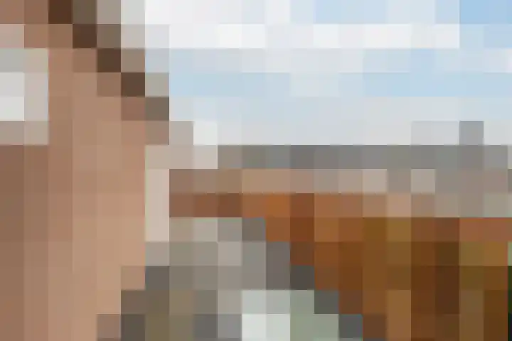 Bosweg 87 Gouda thumbnail 14