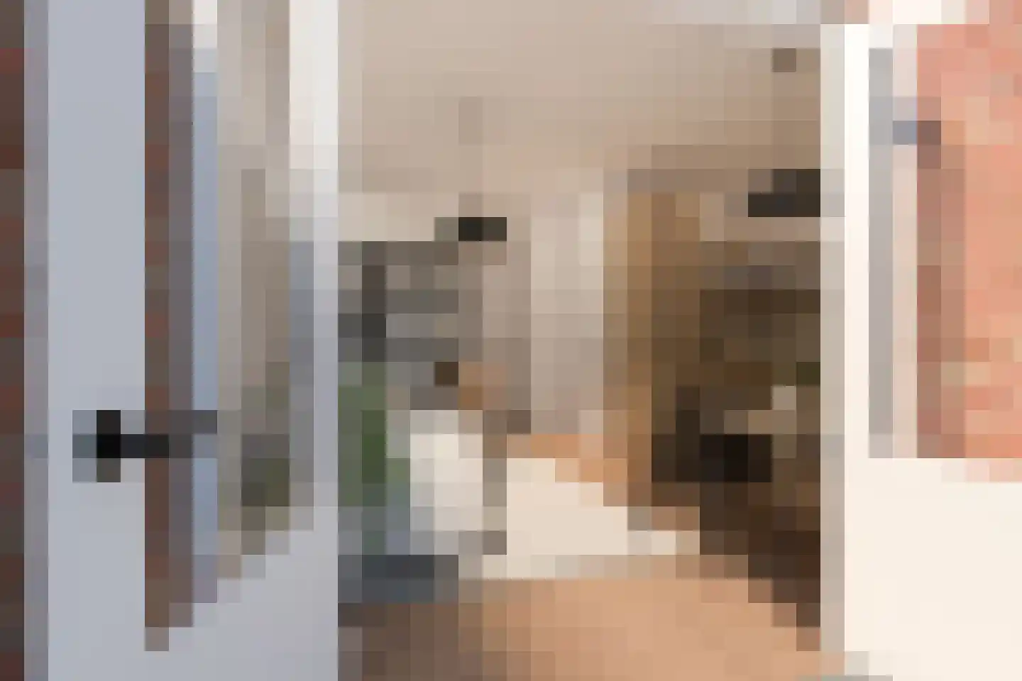 Bosweg 87 Gouda thumbnail 4