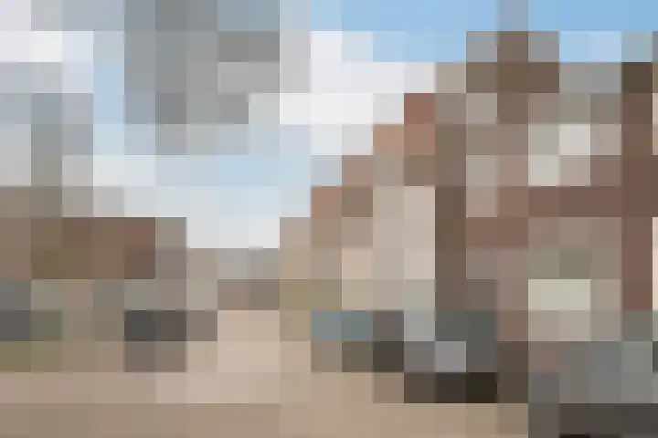 Bosweg 87 Gouda thumbnail 5