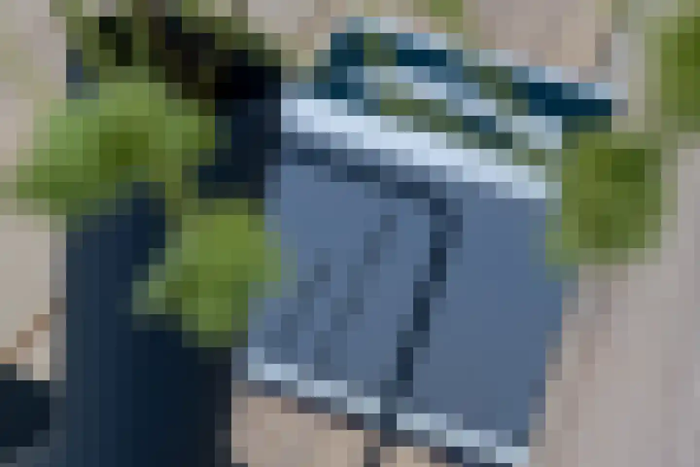 Bosweg 89 Gouda thumbnail 23