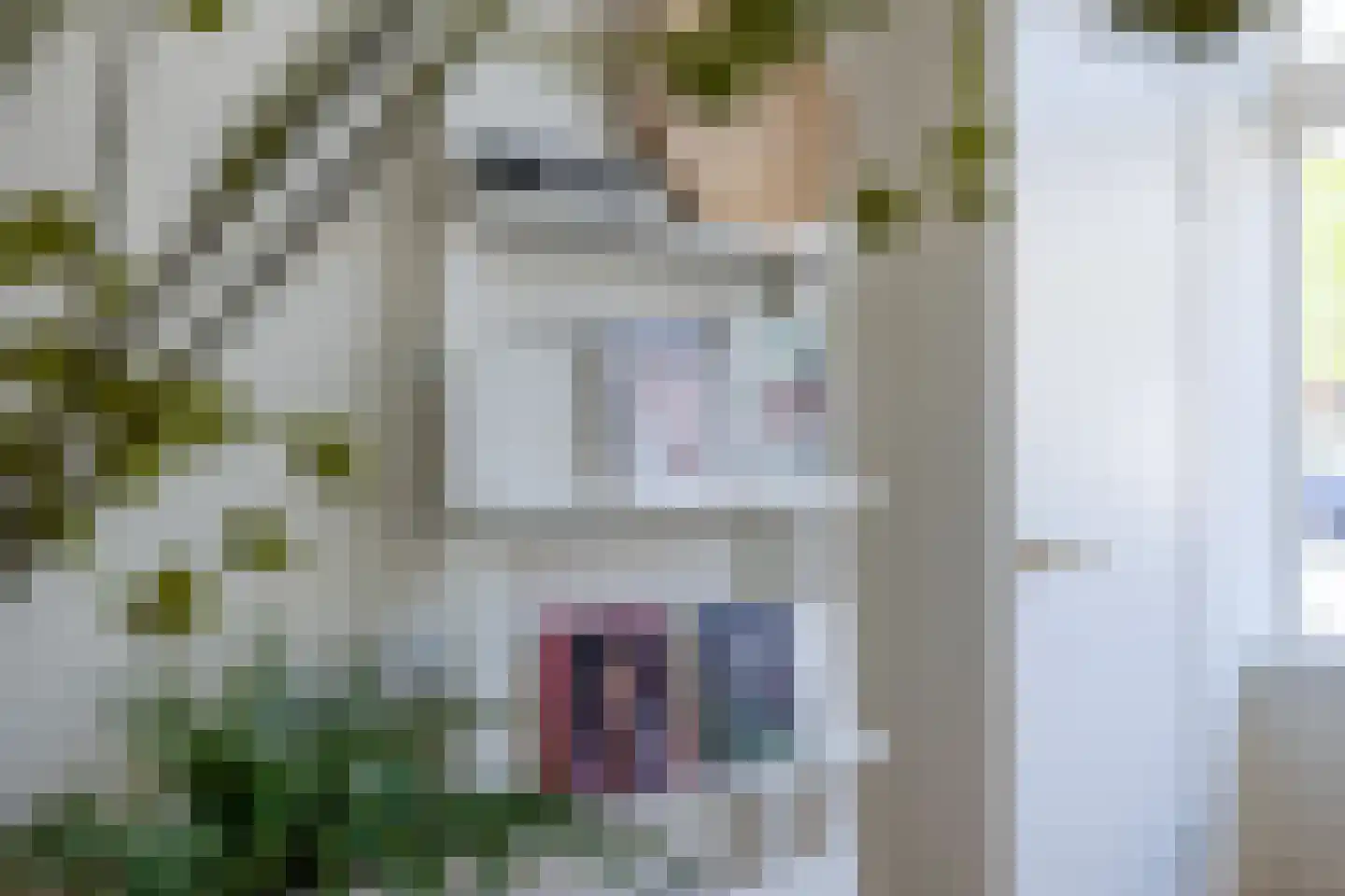 Bosweg 89 Gouda thumbnail 24