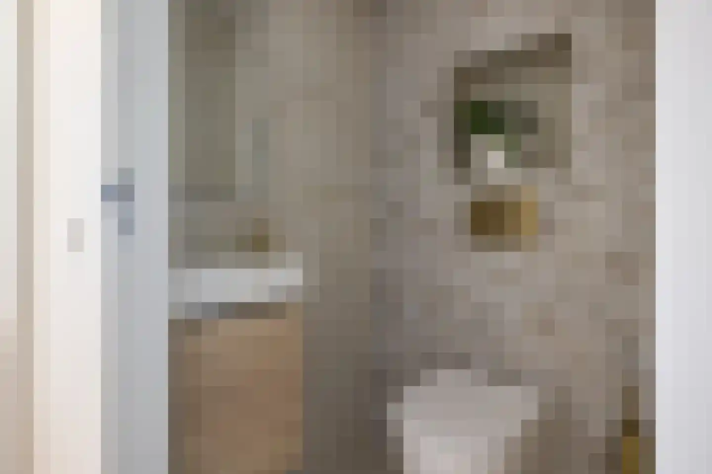 Bosweg 89 Gouda thumbnail 30