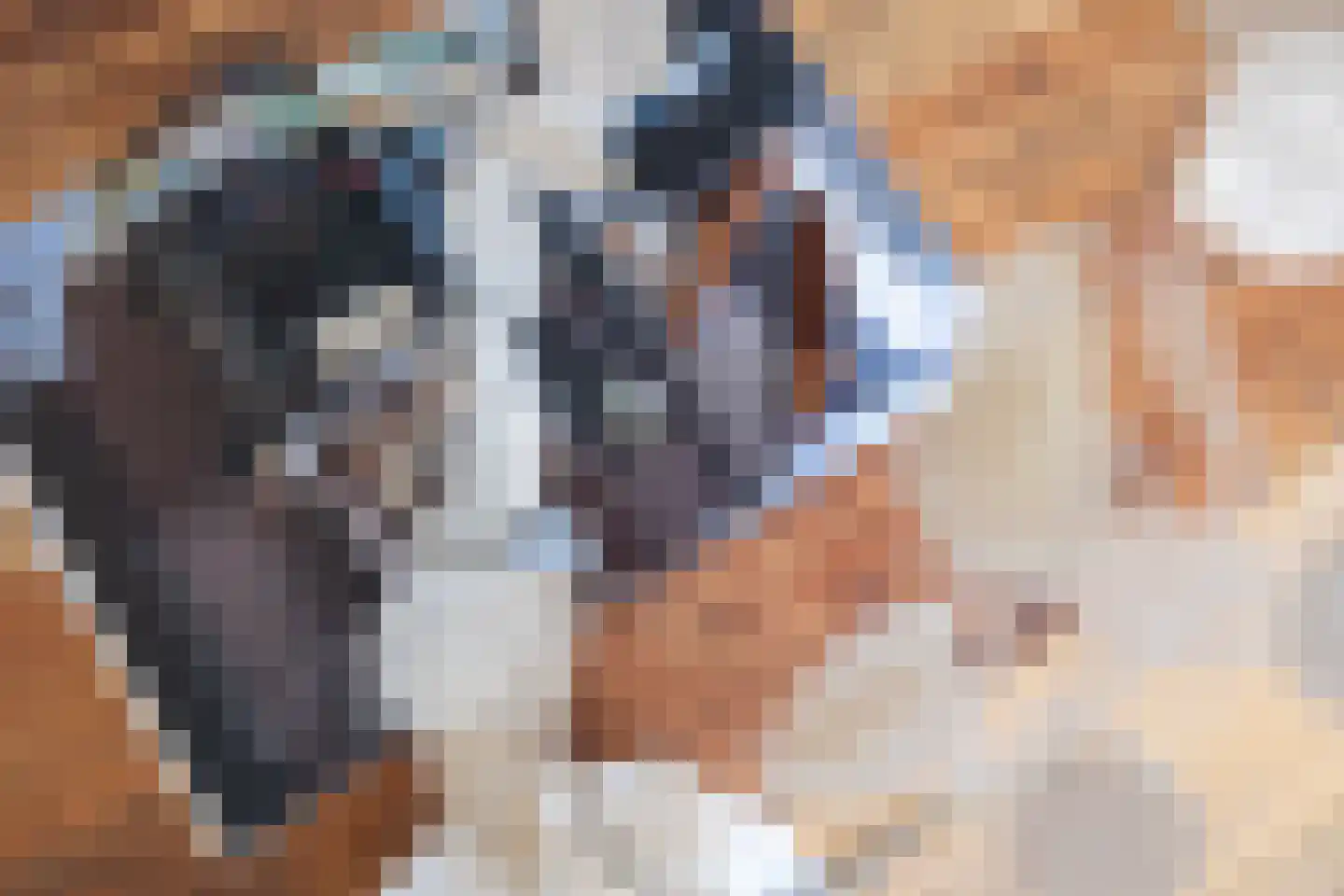 Bosweg 89 Gouda thumbnail 7