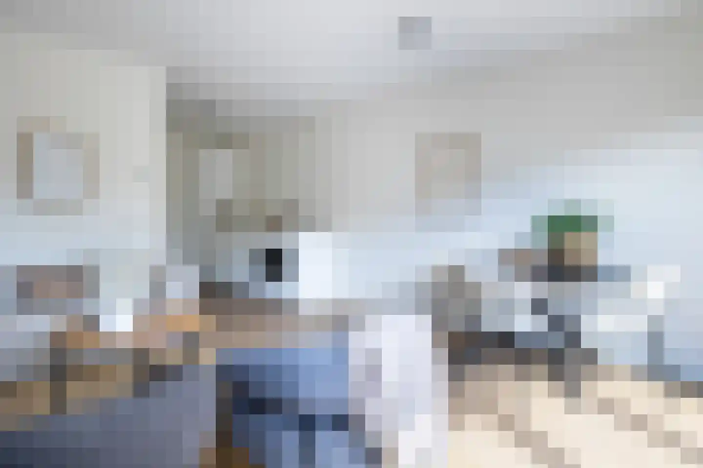 Bosweg 89 Gouda thumbnail 8