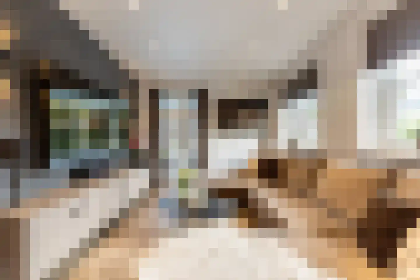 Bosweg 9 a Rockanje thumbnail 25