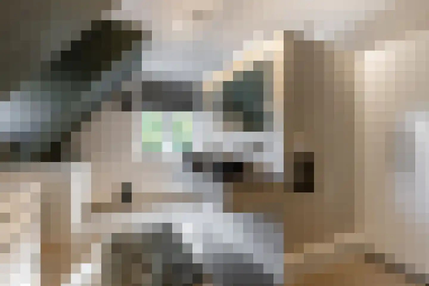 Bosweg 9 a Rockanje thumbnail 32