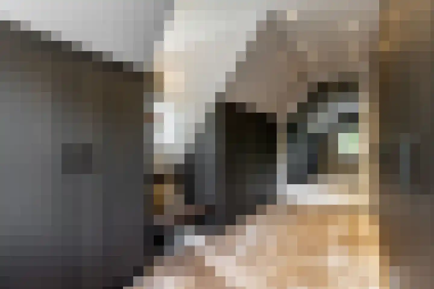 Bosweg 9 a Rockanje thumbnail 35