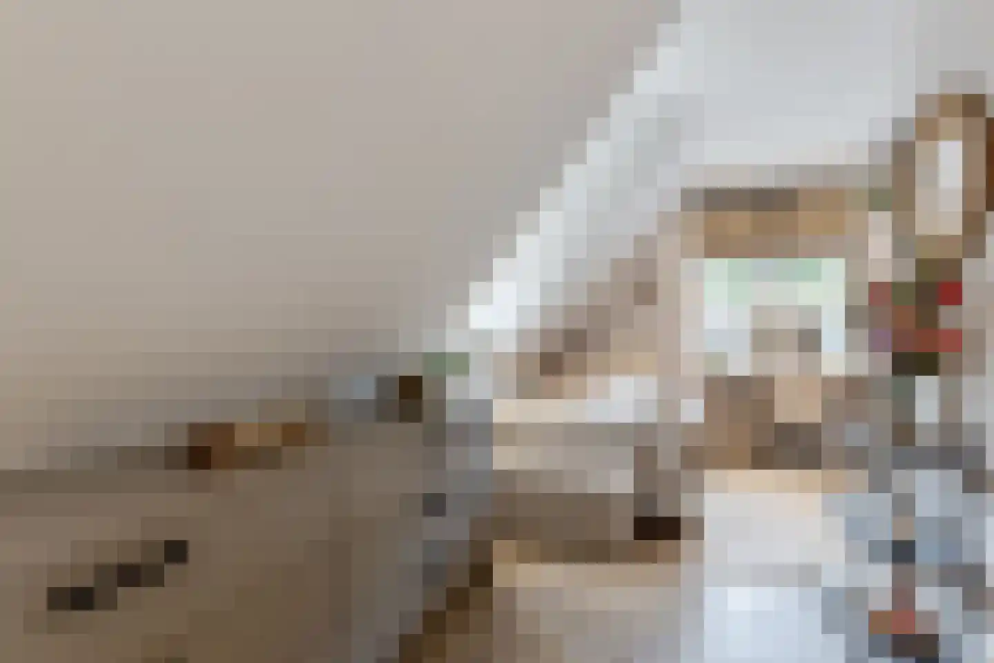 Bosweg 9 a Rockanje thumbnail 39