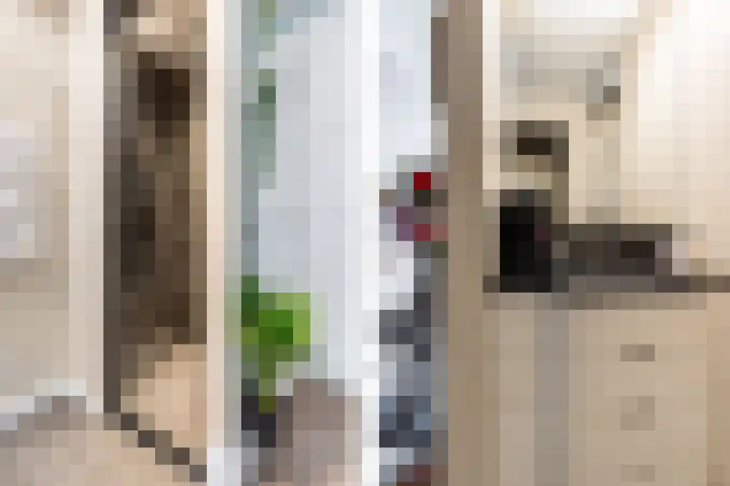 Bosweg 9 a Rockanje thumbnail 40