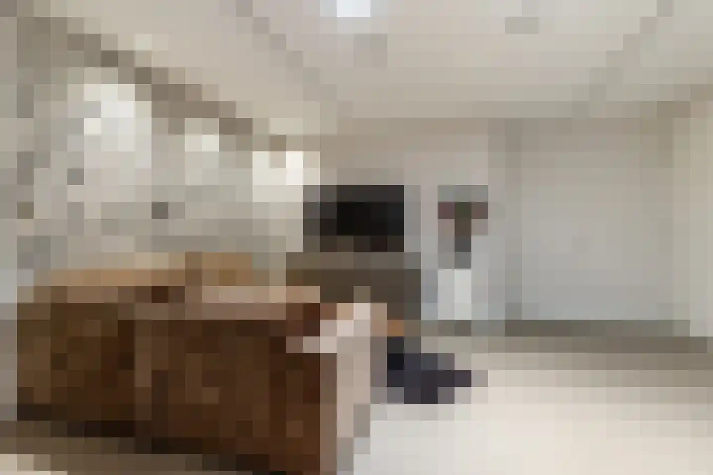 Bosweg 9 a Rockanje thumbnail 47