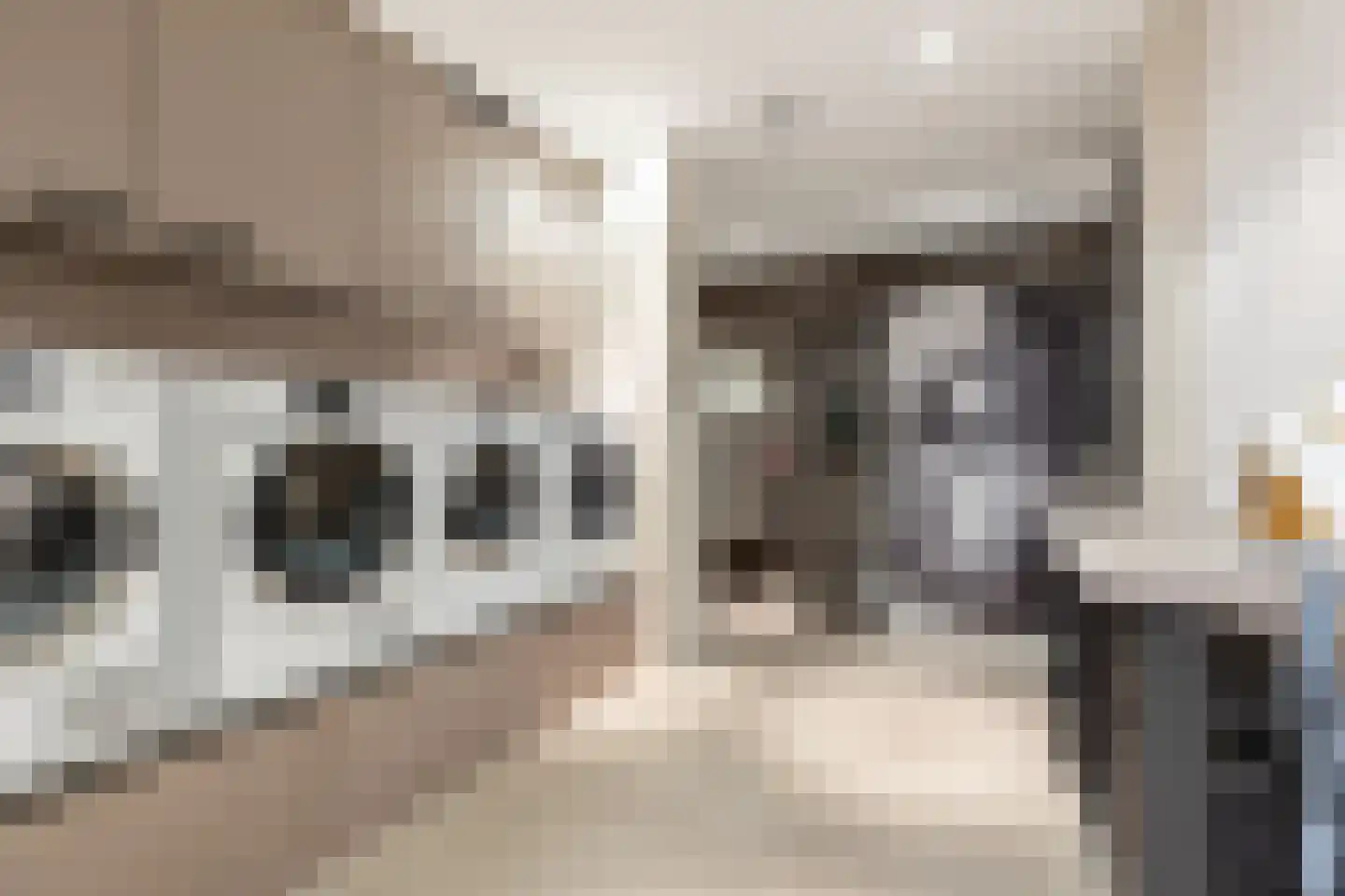 Bosweg 9 a Rockanje thumbnail 48