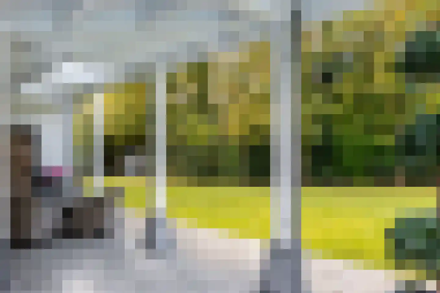 Bosweg 9 a Rockanje thumbnail 57