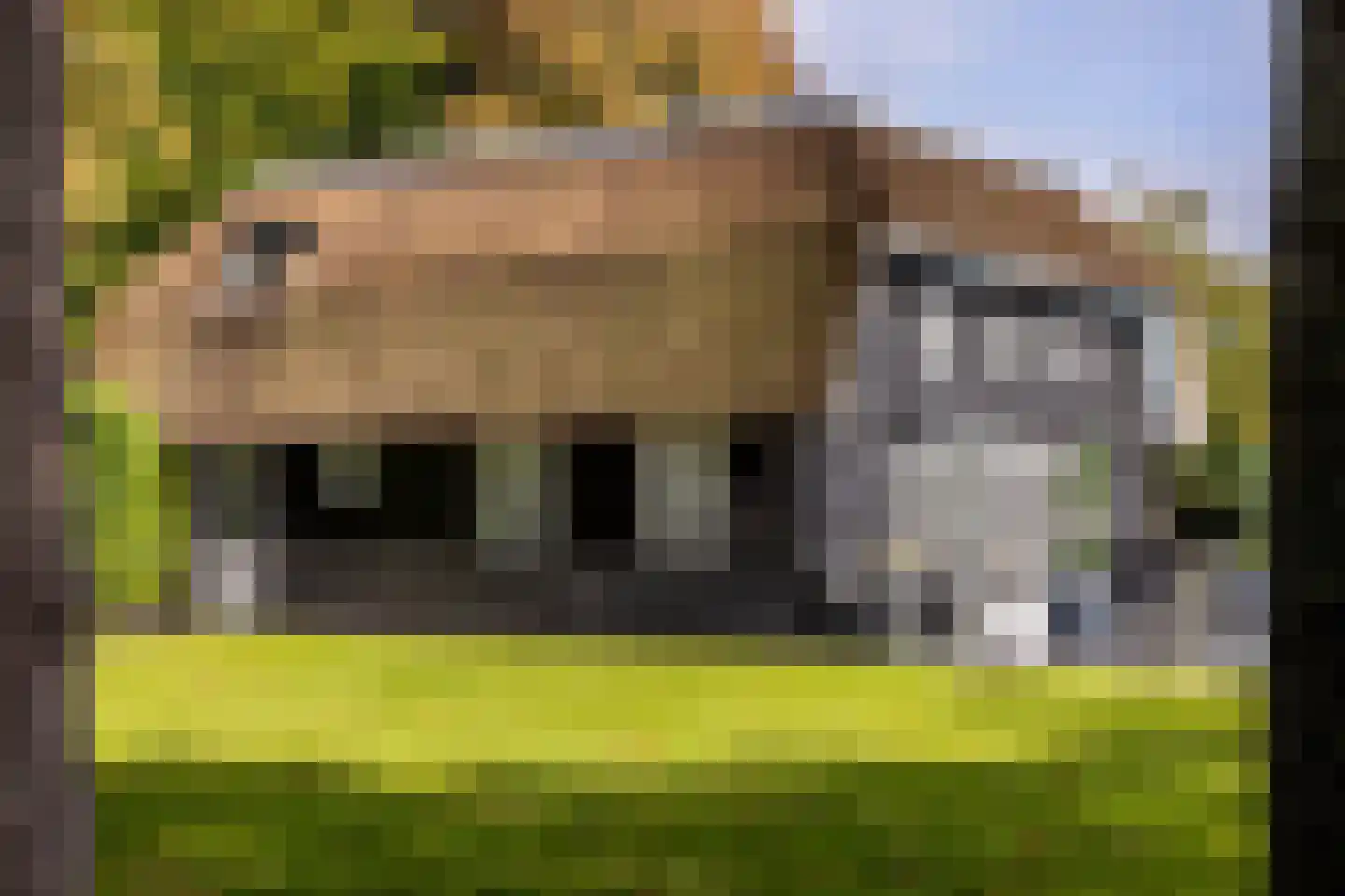 Bosweg 9 a Rockanje thumbnail 65