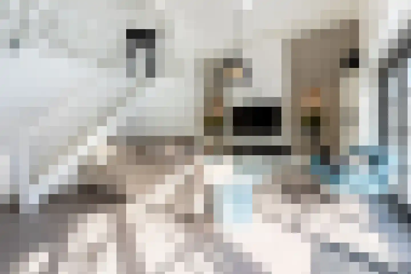 Bosweg 9 a Rockanje thumbnail 68