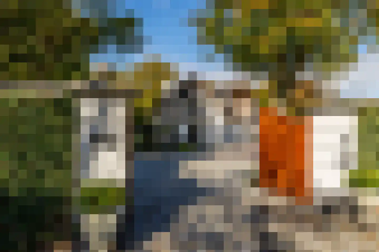 Bosweg 9 a Rockanje thumbnail 7