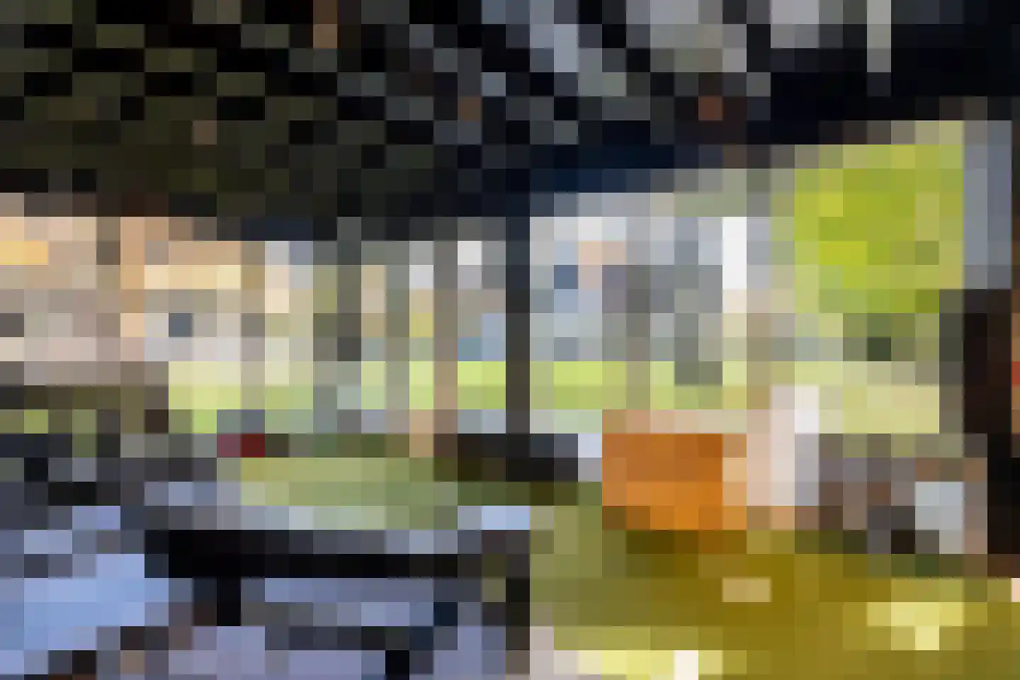 Bosweg 9 a Rockanje thumbnail 82