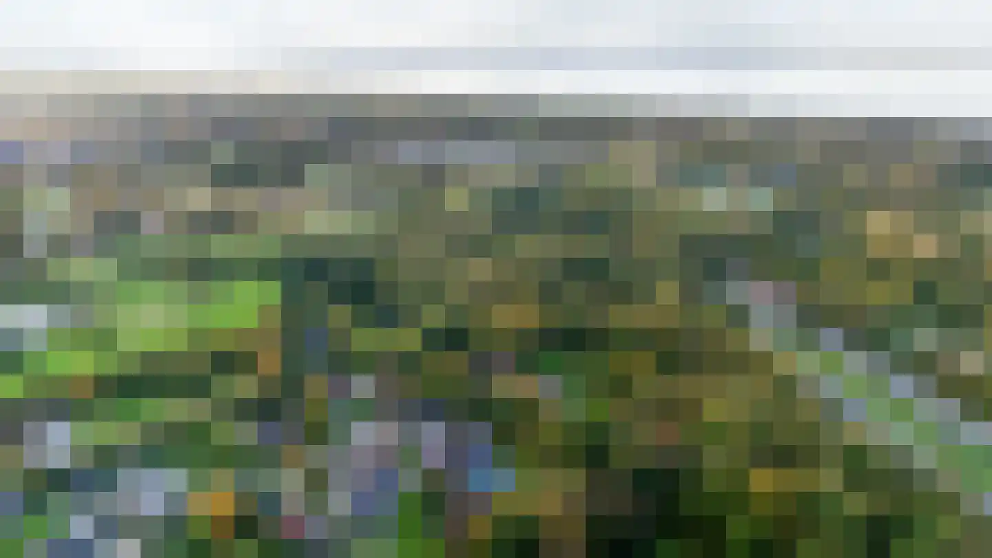 Bosweg 9 a Rockanje thumbnail 85