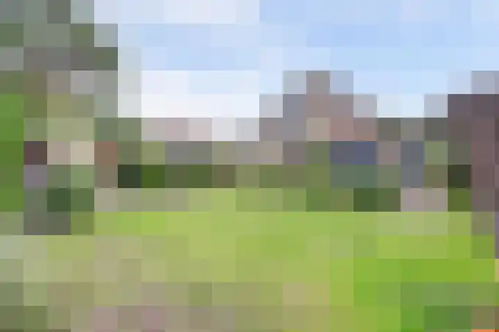 Bosweg 9 Burgh-Haamstede thumbnail 25