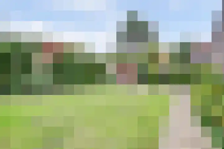 Bosweg 9 Burgh-Haamstede thumbnail 26