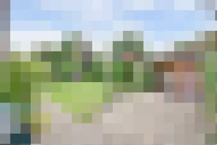 Bosweg 9 Burgh-Haamstede thumbnail 27