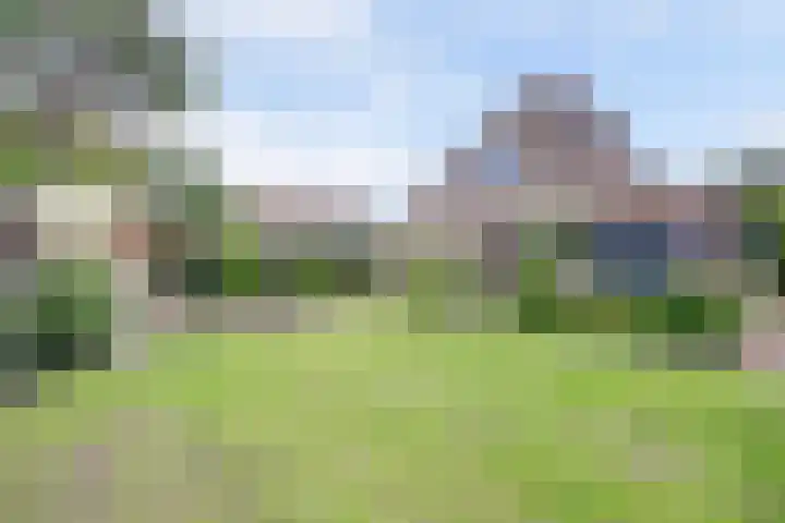 Bosweg 9 Burgh-Haamstede thumbnail 28