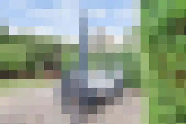 Bosweg 9 Burgh-Haamstede thumbnail 29