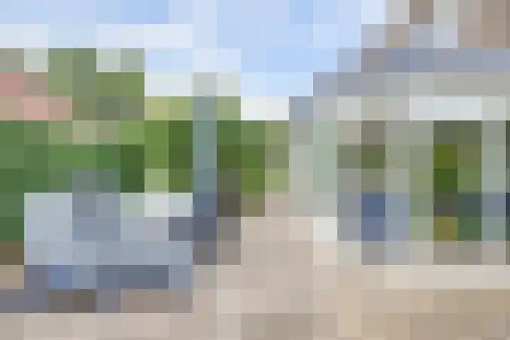 Bosweg 9 Burgh-Haamstede thumbnail 30