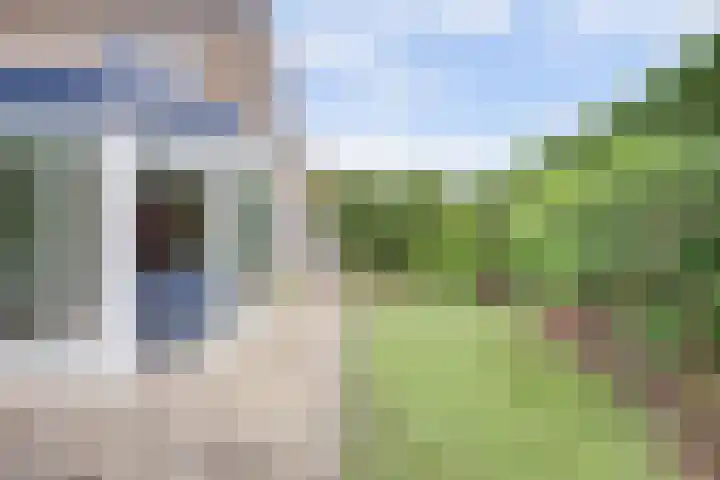 Bosweg 9 Burgh-Haamstede thumbnail 31